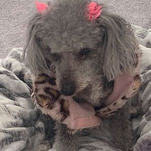 Meet your Posher, Monique